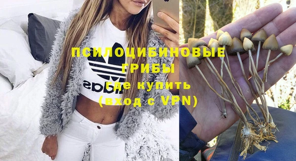 хмурый Алзамай
