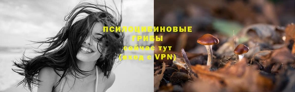хмурый Алзамай